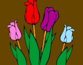 Desenho Tulipa pintado por pio-pio