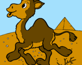 Desenho Camelo pintado por joão pedro