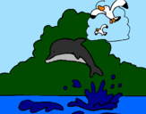 Desenho Golfinho e gaviota pintado por maria fernanda