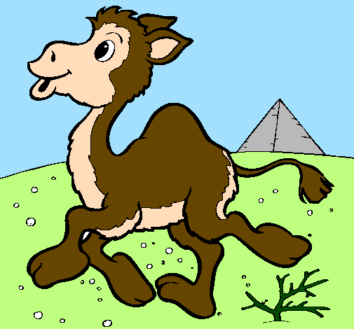 Desenho Camelo pintado por mini