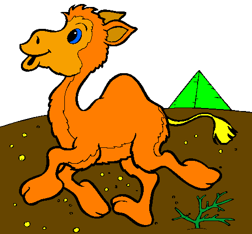 Desenho Camelo pintado por Zeus leonardo