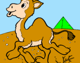 Desenho Camelo pintado por thuco