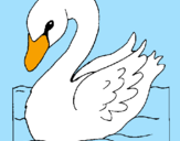 Desenho Cisne pintado por Clara