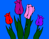 Desenho Tulipa pintado por maria