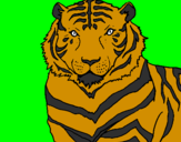 Desenho Tigre pintado por kenia