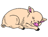 Desenho Porco a dormir pintado por Vânia