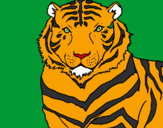 Desenho Tigre pintado por julio