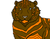 Desenho Tigre pintado por PARDINHO