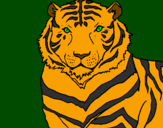 Desenho Tigre pintado por h