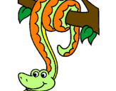 Desenho Serpente pendurada numa árvore pintado por LILI