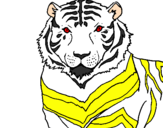 Desenho Tigre pintado por safira 