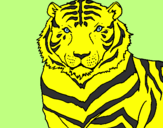Desenho Tigre pintado por anailza