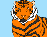 Desenho Tigre pintado por thuco