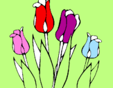 Desenho Tulipa pintado por bely