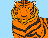Desenho Tigre pintado por raul