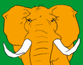 Desenho Elefante africano pintado por julio