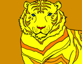 Desenho Tigre pintado por giovana