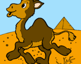 Desenho Camelo pintado por d