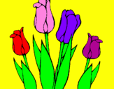 Desenho Tulipa pintado por ma