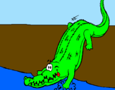 Desenho Crocodilo a entrar na água pintado por Matheus jacare