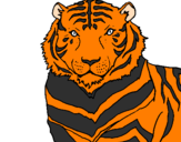 Desenho Tigre pintado por fut.r