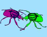 Desenho Escaravelhos pintado por Ryuu