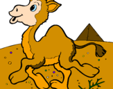 Desenho Camelo pintado por Bianca