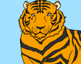 Desenho Tigre pintado por Rafa