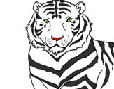 Desenho Tigre pintado por britinei