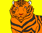 Desenho Tigre pintado por lybni