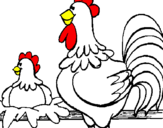 Desenho Galo e galinha pintado por Bruna
