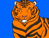 Desenho Tigre pintado por junior