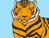 Desenho Tigre pintado por miuky