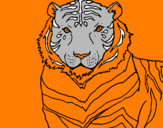 Desenho Tigre pintado por DANIEL