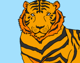 Desenho Tigre pintado por N.athan