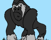 Desenho Gorila pintado por p