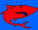 Desenho Tubarão pintado por tubarao