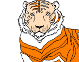 Desenho Tigre pintado por João Felipe