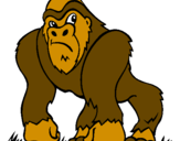 Desenho Gorila pintado por dudu