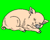 Desenho Porco a dormir pintado por vinicius vicente