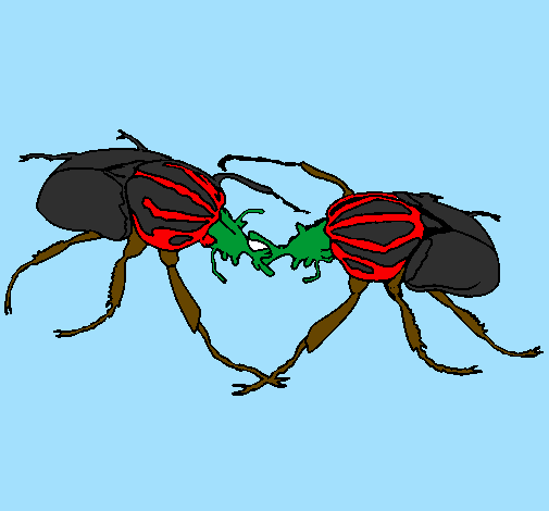 Desenho Escaravelhos pintado por nadim45