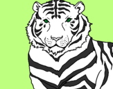 Desenho Tigre pintado por ESMERALDA