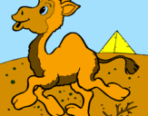 Desenho Camelo pintado por VERONICA
