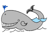 Desenho Baleia pintado por baleia