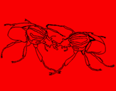Desenho Escaravelhos pintado por gerson