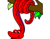 Desenho Serpente pendurada numa árvore pintado por pedro