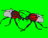 Desenho Escaravelhos pintado por mateus