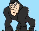 Desenho Gorila pintado por ANDREI