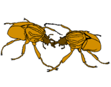 Desenho Escaravelhos pintado por pedro frança rios canário