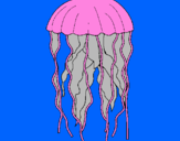 Desenho Medusa pintado por ana flavia rodrigues
